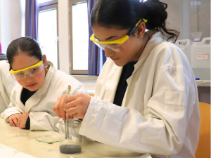 Ist das wirklich echt??? Ist das wirklich echt???